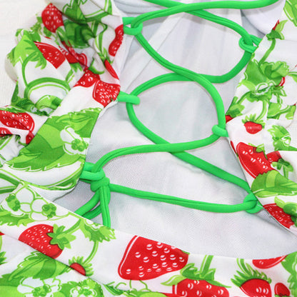 New Dress-style Vintage Strawberry Swimsuit